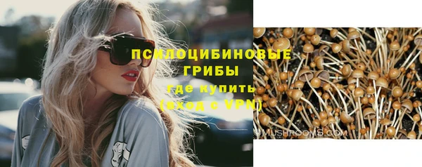 шишки Верхнеуральск